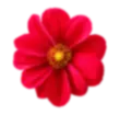 Zoffy